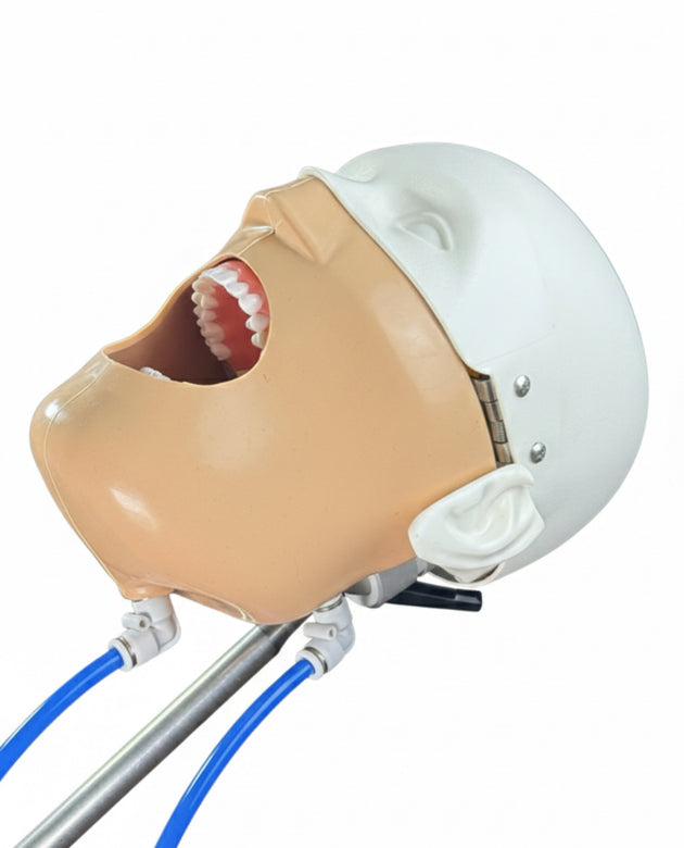 Manikin Head - Magnetic Type