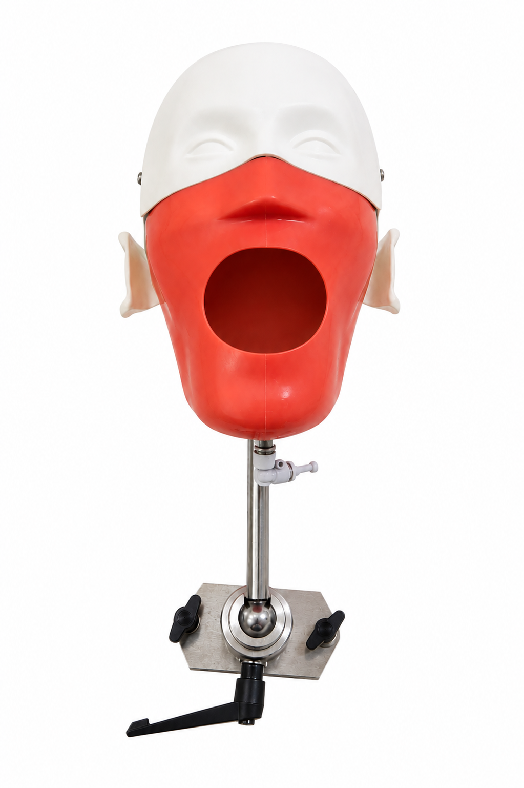 Manikin Head - Dental Chair Attachment