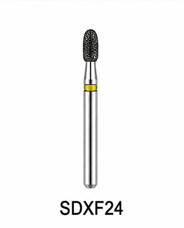 SDXF 24