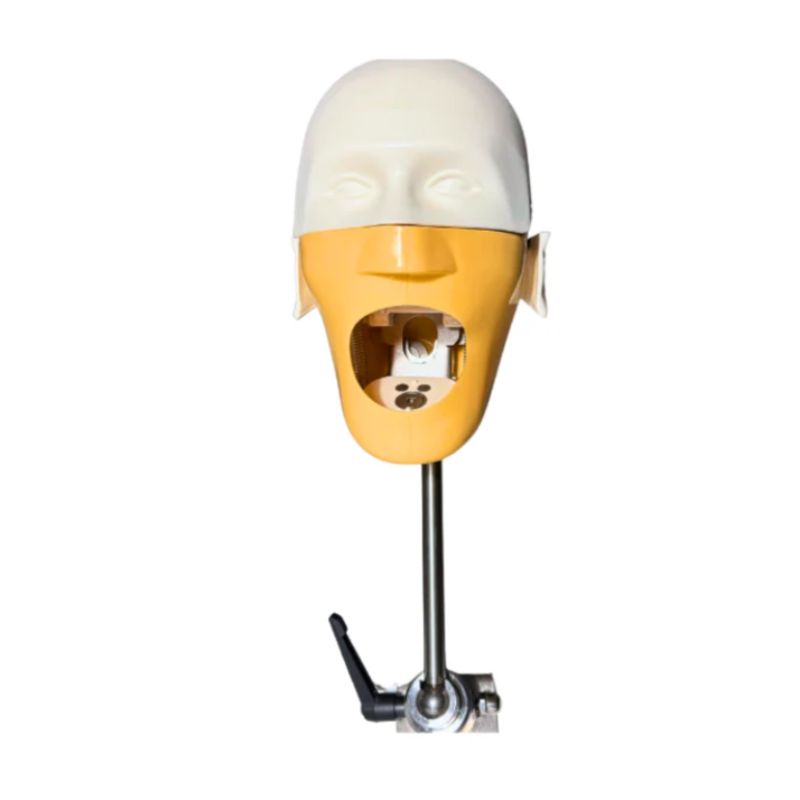 Phantom Head