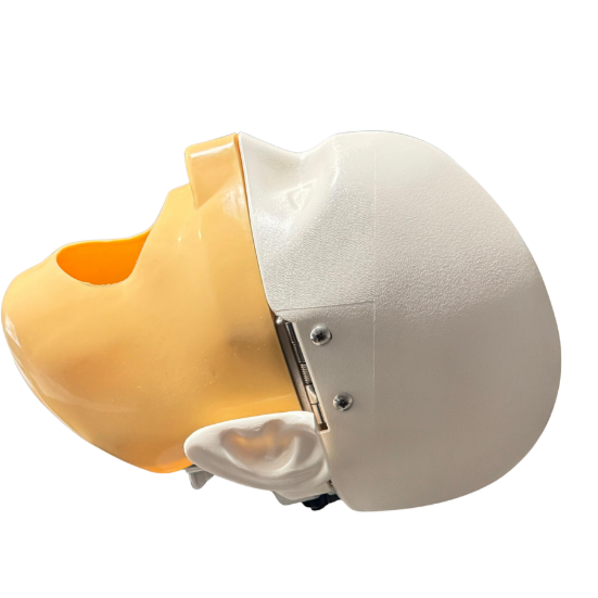 Phantom Head