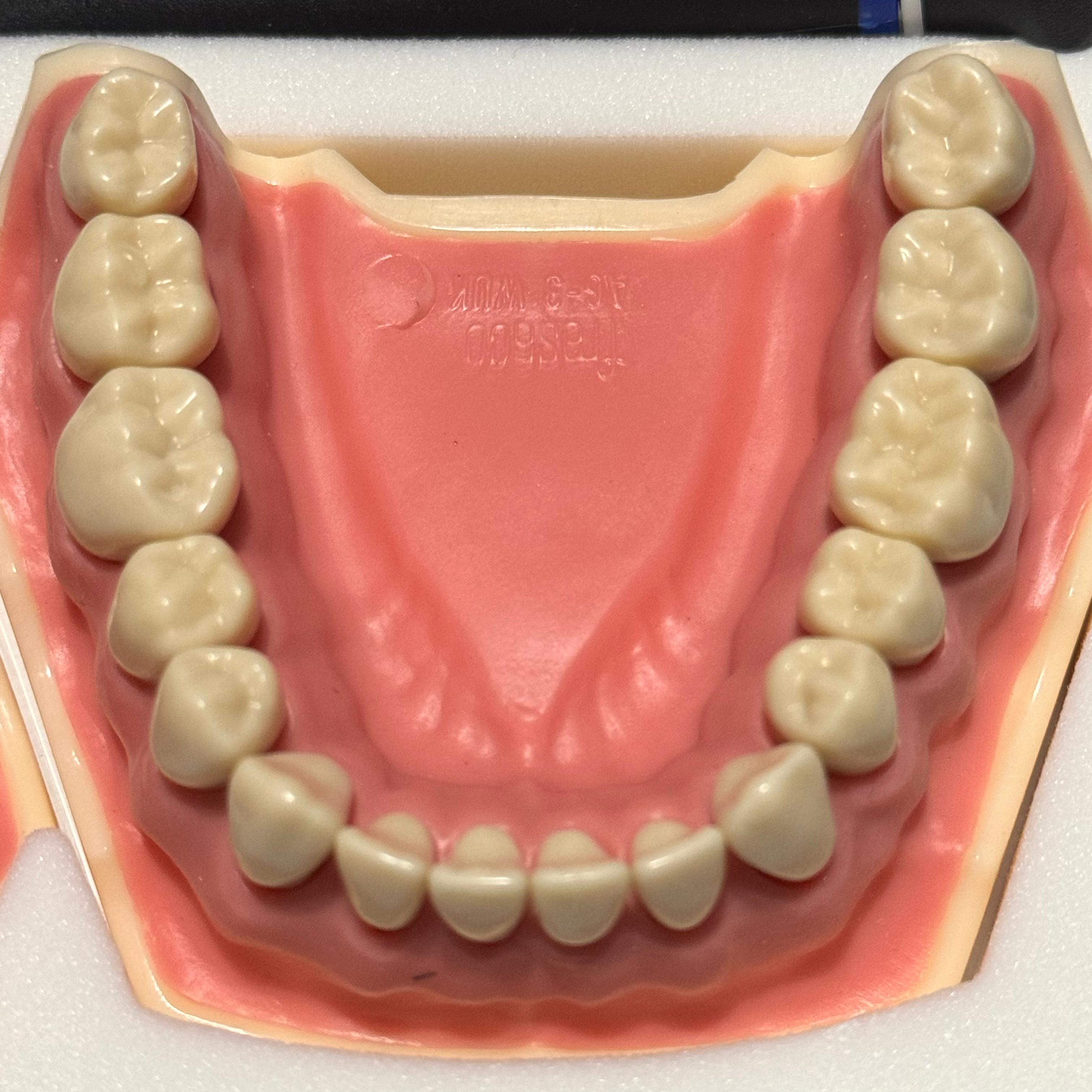 Frasaco AG-3 Jaws