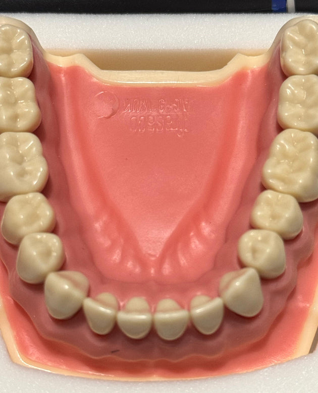 Frasaco AG3 Jaw - Single