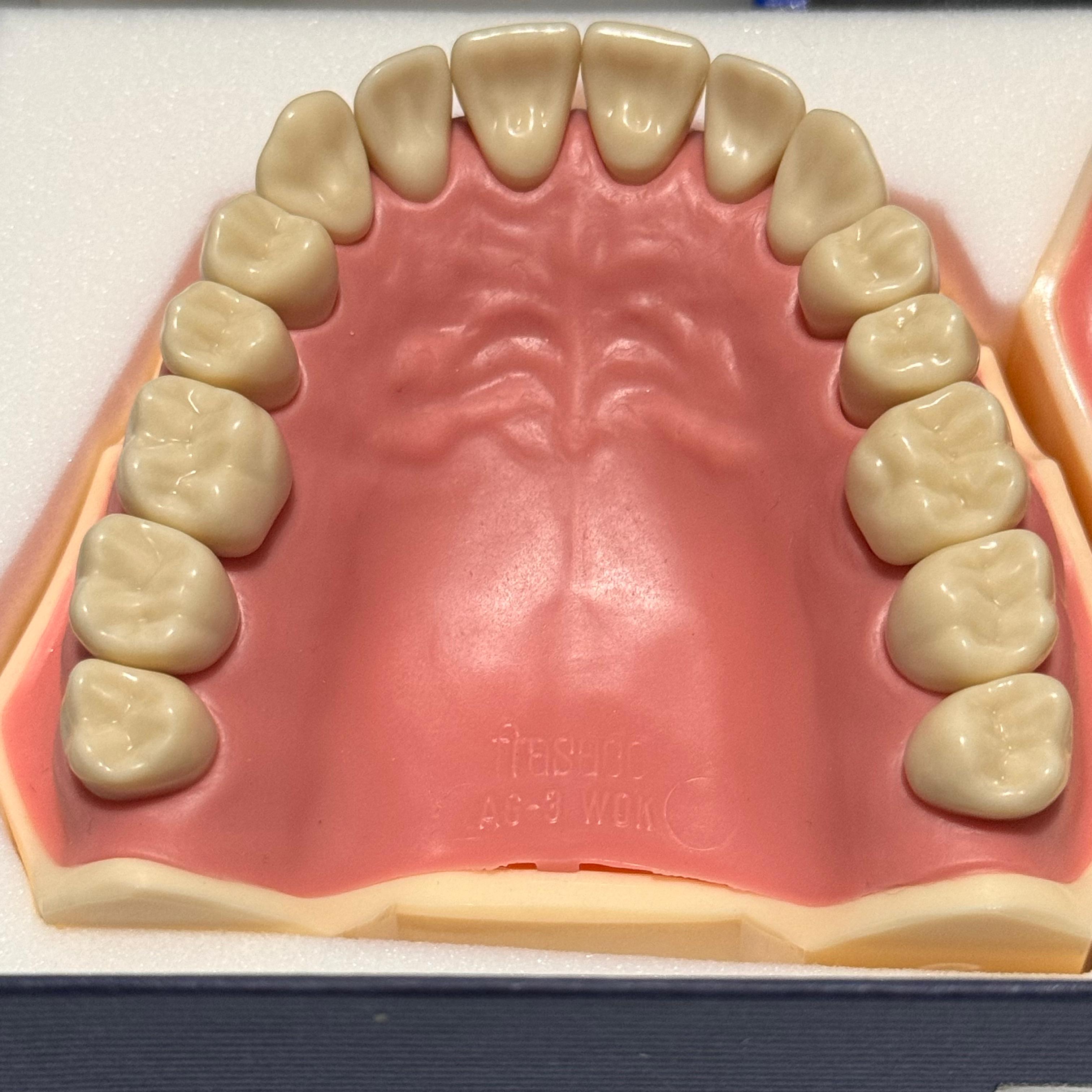Frasaco AG-3 Jaws