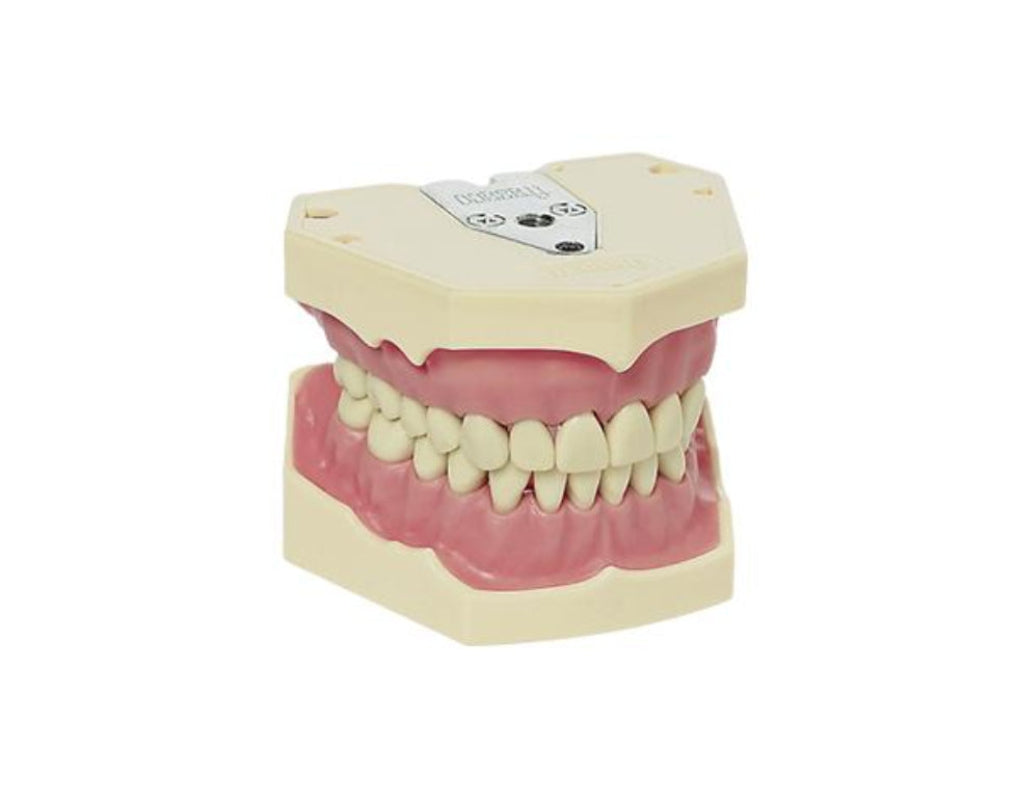 Frasaco AG-3 Jaws